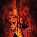 The Amazon is burning