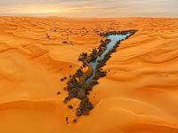 oasis Libya