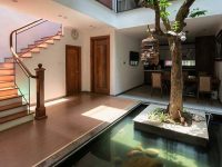 Modern home with tree and Koi pond