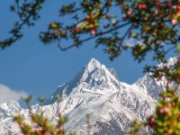 Beauty of Nanga Perbat Mountain