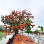 Imphal India