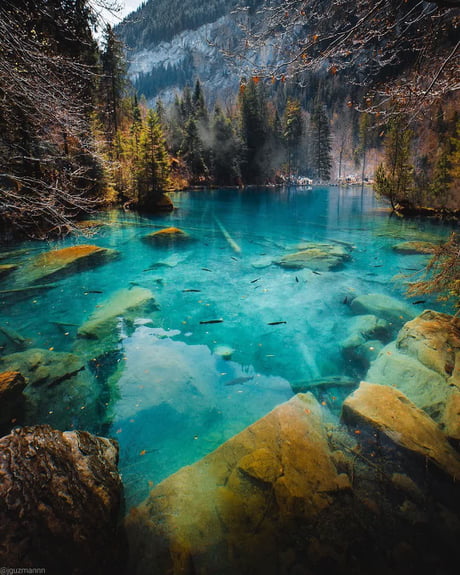 Lake Blausee Switzerland