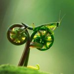 Look like a motobike