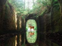 A nice view at Chiba Prefecture in Japan