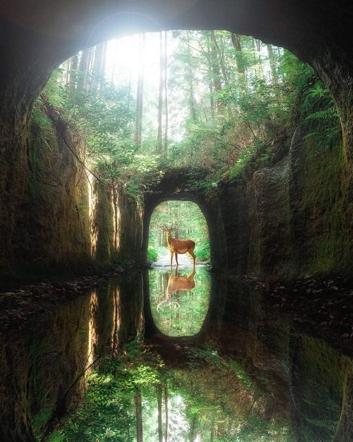 A nice view at Chiba Prefecture in Japan
