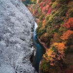 Changing Seasons