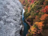 Changing Seasons