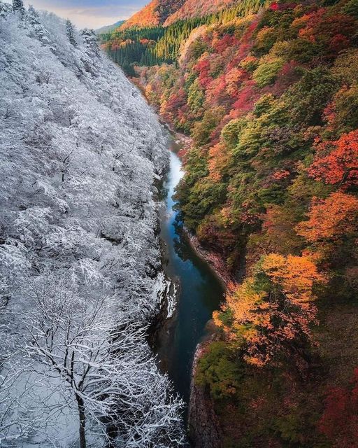 Changing Seasons