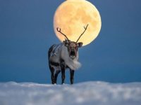 Full Moon
