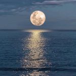 Moonlight shadow in Sydney, Australia