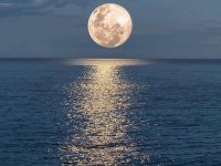 Moonlight shadow in Sydney, Australia
