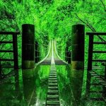 Rails sinking in the lakem, japan