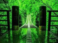 Rails sinking in the lakem, japan
