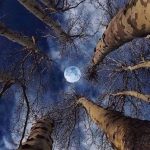 The moon