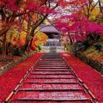 The stairs of bright red fallen leaves were beautiful