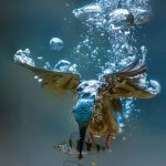 Underwater shot of Kingfisher in action