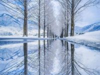 Winter magic in Japan
