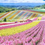 creativity in agriculture, Osaka, Japan