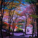 garden in japan