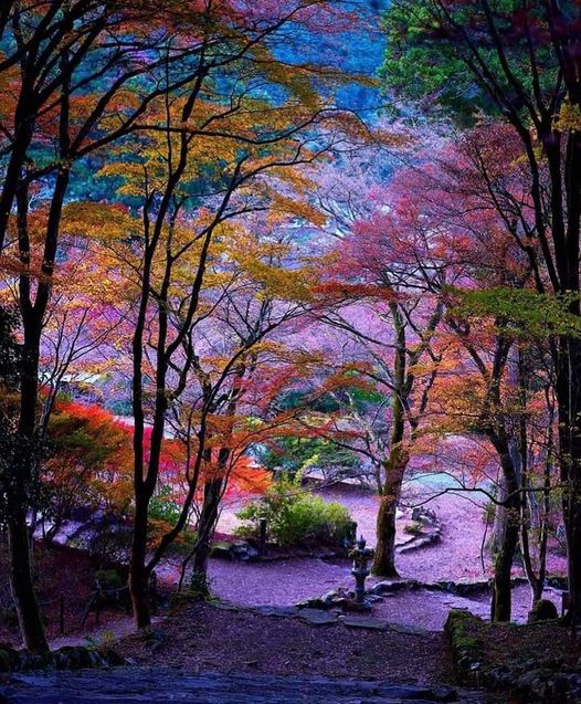 garden in japan