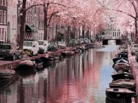Frühling in Amsterdam