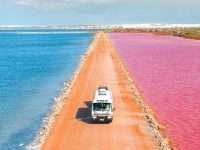 South Australia, MacDonnell