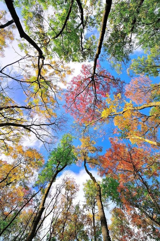 United Colors of Autumn