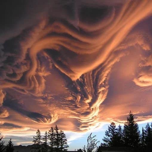Asperatus clouds over New Zealand