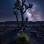 Death Valley National Park, California