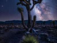 Death Valley National Park, California