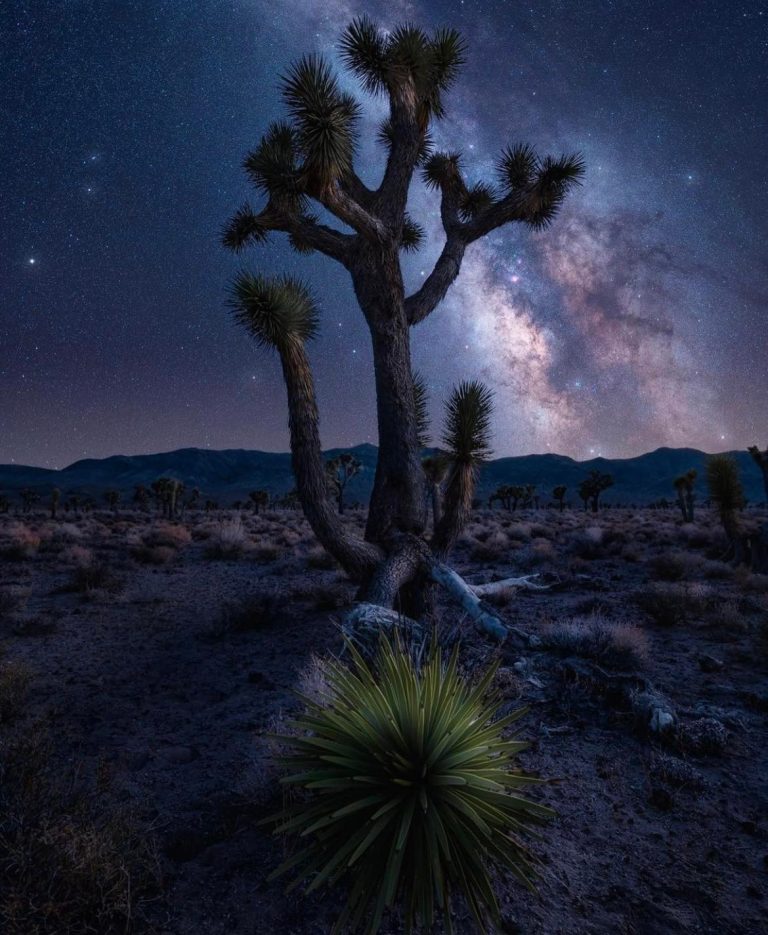 Death Valley National Park, California