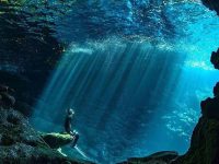 Diving pleasure in Kailua, Hawaii