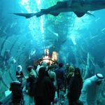 How do you spend your time in Dubai