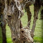 Mother horse and foal made of driftwood