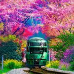 Train in Oito Station, Japan
