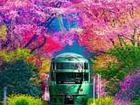 Train in Oito Station, Japan