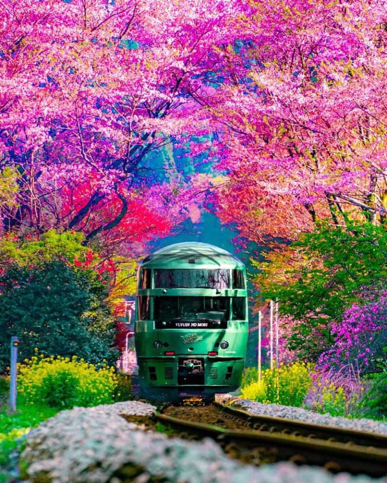 Train in Oito Station, Japan
