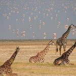 Tourism in Tanzania