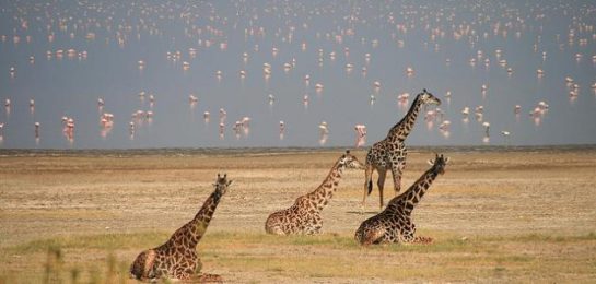Tourism in Tanzania
