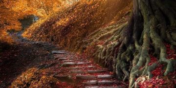 A nice trail in Ireland