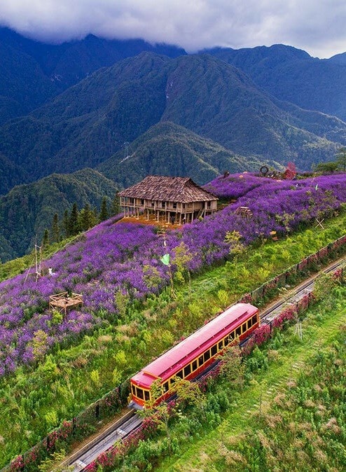 Agricultural plain, Vietnam