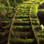 Nature always takes over