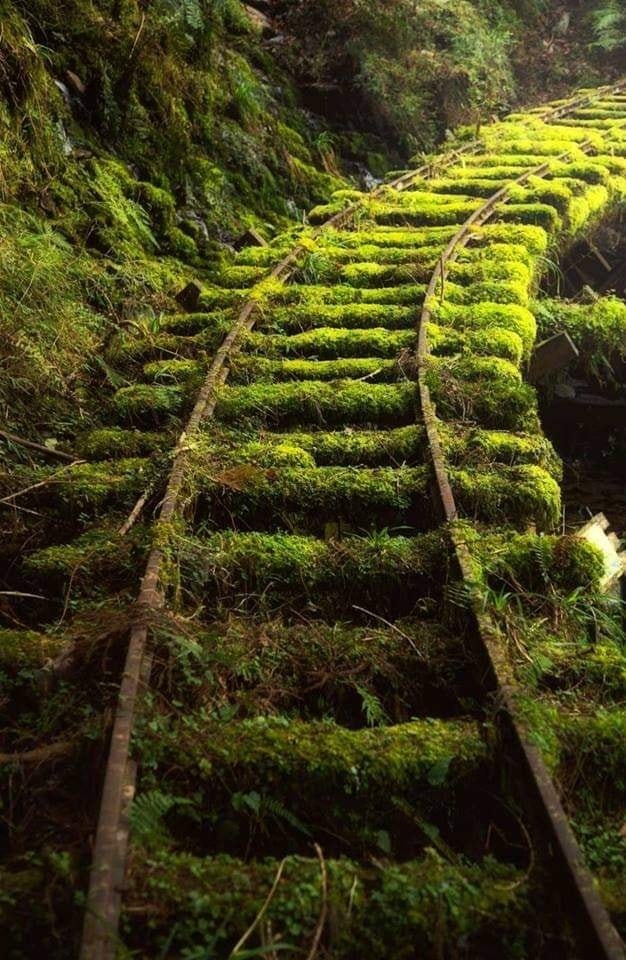 Nature always takes over