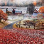 Vermont