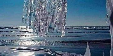 Winter by the ocean