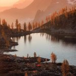 Wonderful Nature