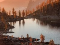 Wonderful Nature