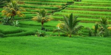 Bali Island