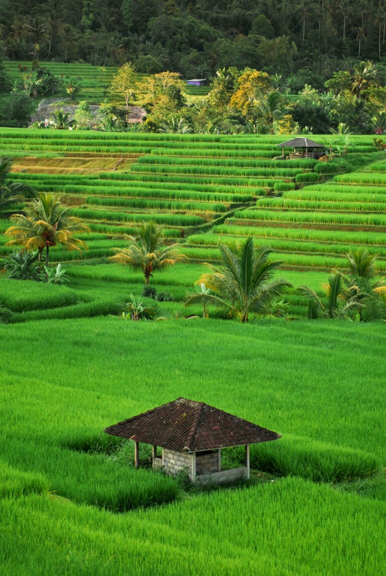 Bali Island